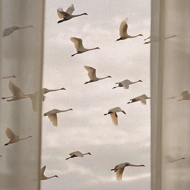 Essential Reset at Lindsey Bay Hair in Devine, TX